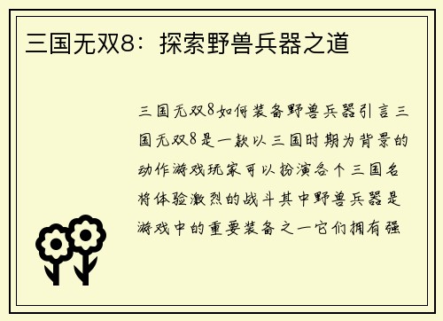 三国无双8：探索野兽兵器之道